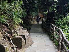 -鼎湖山风景区