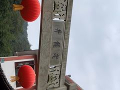 -十八棵（老龙井）御茶园(老龙井店)