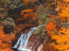 -光雾山旅游景区