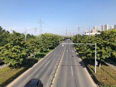 -昆山城市生态森林公园