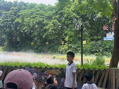-广州长隆飞鸟乐园