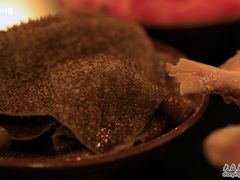 鲜毛肚（我上传照片的时候都在流口水）-酒友老火锅(渝中店)