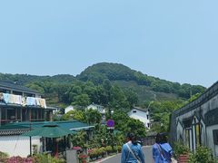 -十八棵（老龙井）御茶园(老龙井店)