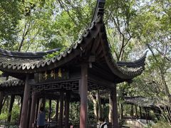 -上海佘山国家森林公园天马山园