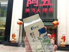 酸奶-阿五黄河大鲤鱼(英协路店)