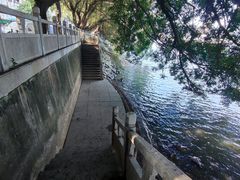 -长洲岛