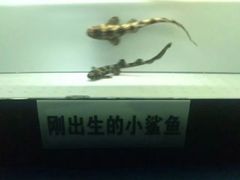 -水上乐园·欢乐世界