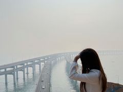 -星海湾跨海大桥