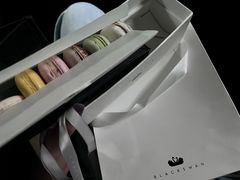 -BLACKSWAN黑天鹅(环球店)