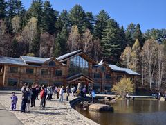 -五营红松林海景区