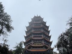 -铁山坪森林公园