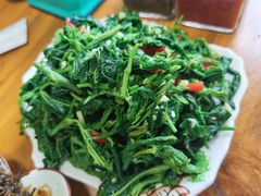 凉拌桑芽菜-顺意会馆(南门店)