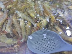 -聚盛源蒸汽海鲜火锅烤肉自助(巨川金海岸购物广场店)