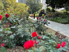 -人民公园(罗湖区)