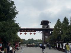 -泗洪洪泽湖湿地景区