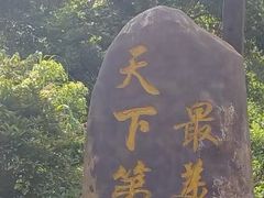 -江西龙虎山景区