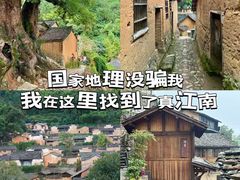 -杨家堂村