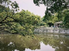 -柳侯公园