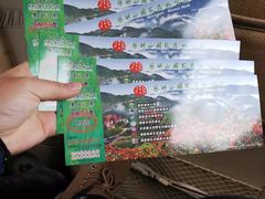 -永州阳明山国家森林公园