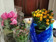 -双季花艺园艺市场(浦东店)