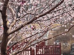 -河北省园博园