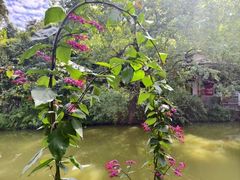 -一品烧农庄·佛山本地特色菜