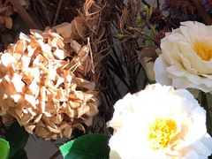 -唐咖精品咖啡(大理古城手冲店)