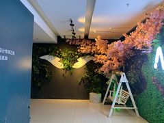 -MD KTV(居然之家店)
