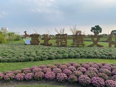 -嘉北郊野公园
