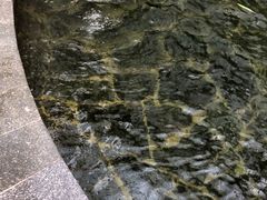 -龙达温泉生态城