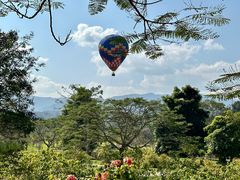 -中国科学院西双版纳热带植物园