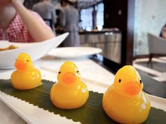 -唐阁海景中餐厅·早茶·粤菜•生日聚餐(海口朗廷酒店)