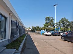-碧海金沙