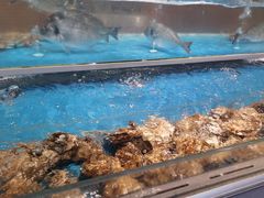 -盛宴自助餐厅(运达喜来登店)