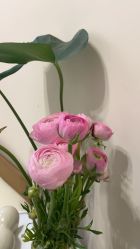 -S&G Beauty轻奢皮肤管理中心