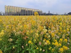 -中国天府农业博览园