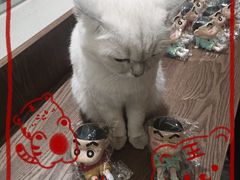 -丁香湖公园