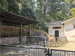 -杭州动物园
