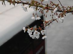 -上海南浦大桥长途旅游客运站