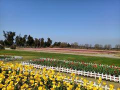 -漩门湾国家湿地公园