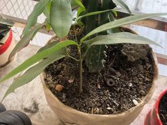 -一品天下(地铁站)