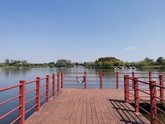 -杭州湾海上花田景区