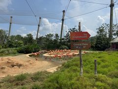 -新加坡飞禽公园