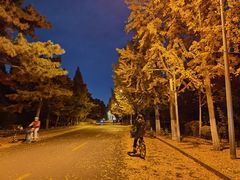 -清华大学-甲所餐厅