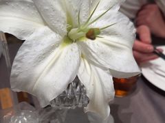 -小厨娘淮扬菜(奥体博览中心奥美店)