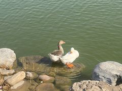 -天津东丽湖风景区