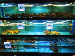 水产区-琼大师东方烤乳猪(亚特兰蒂斯店)