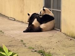 -西安秦岭野生动物园