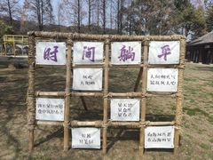 -苏州上方山国家森林公园
