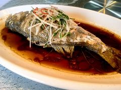 -和平官邸·花园餐厅(武定西路店)